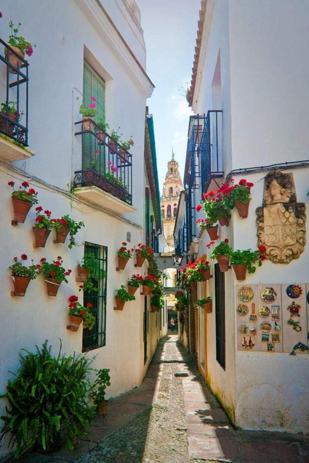 Casa Juanma Apartment Cordoba Exterior photo